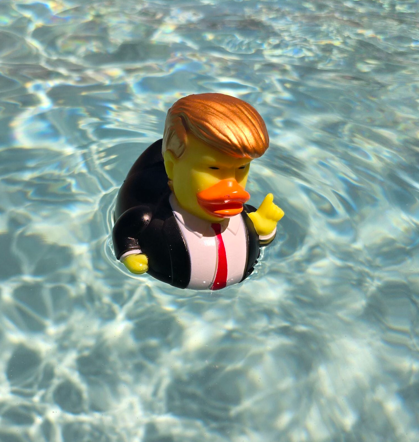 President Trump Duck